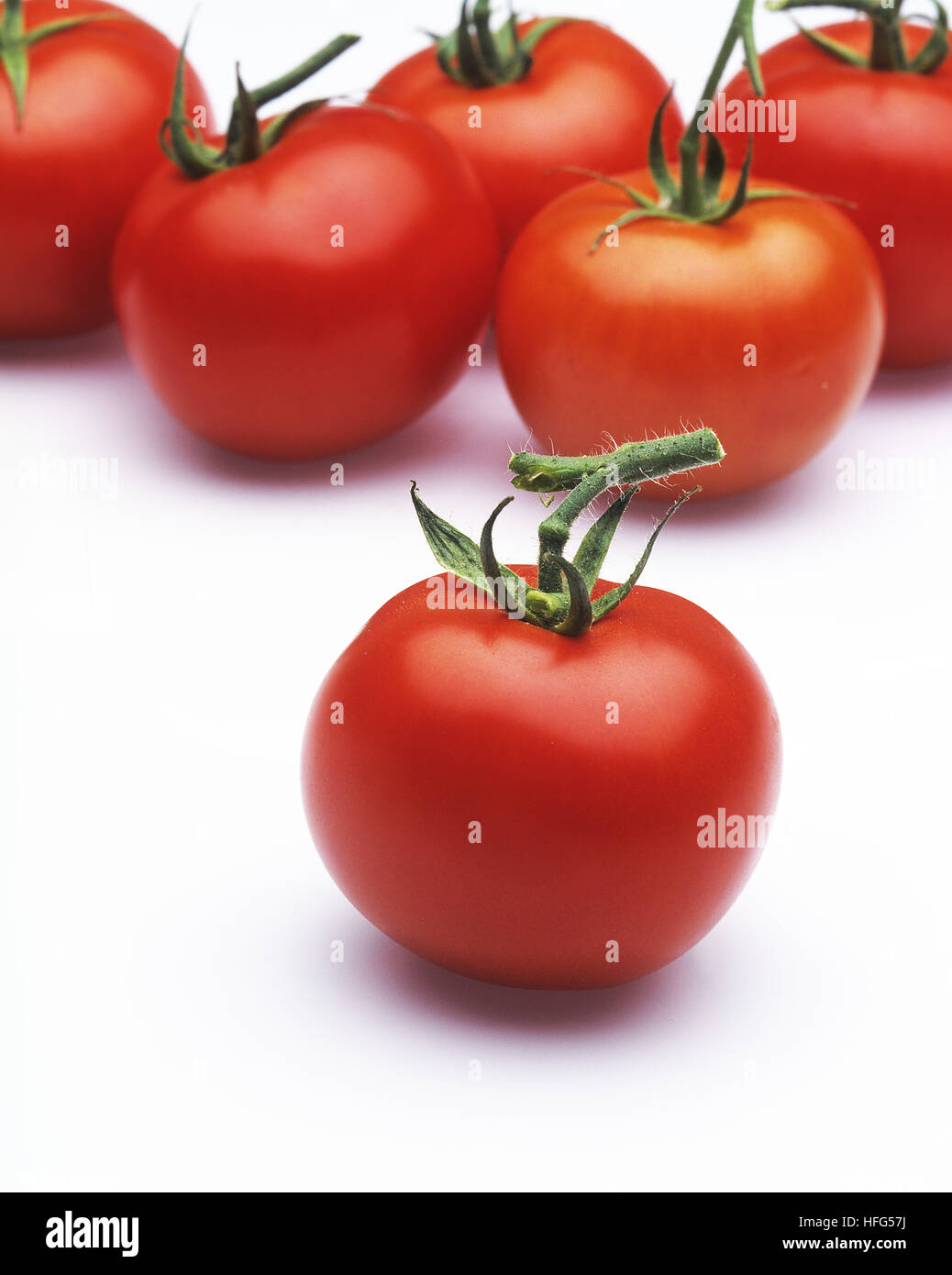 Pomodori rossi, Solanum lycopersicum contro uno sfondo bianco Foto Stock