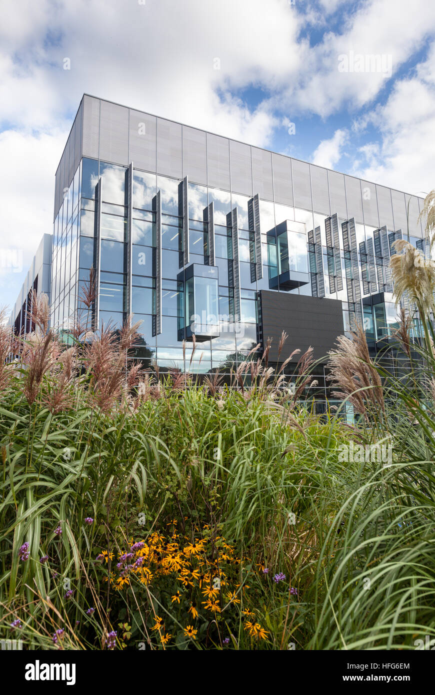 Alan Gilbert Learning Commons, l'Università di Manchester REGNO UNITO Foto Stock