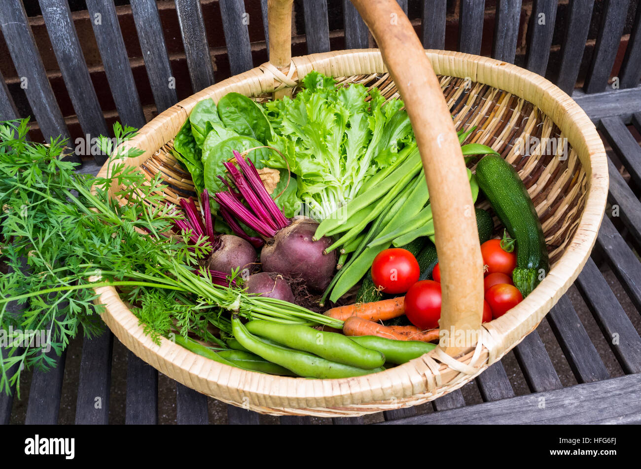 Cesto di fresche verdure organiche con lattuga carote barbabietola fagioli di pomodori e zucchine Foto Stock