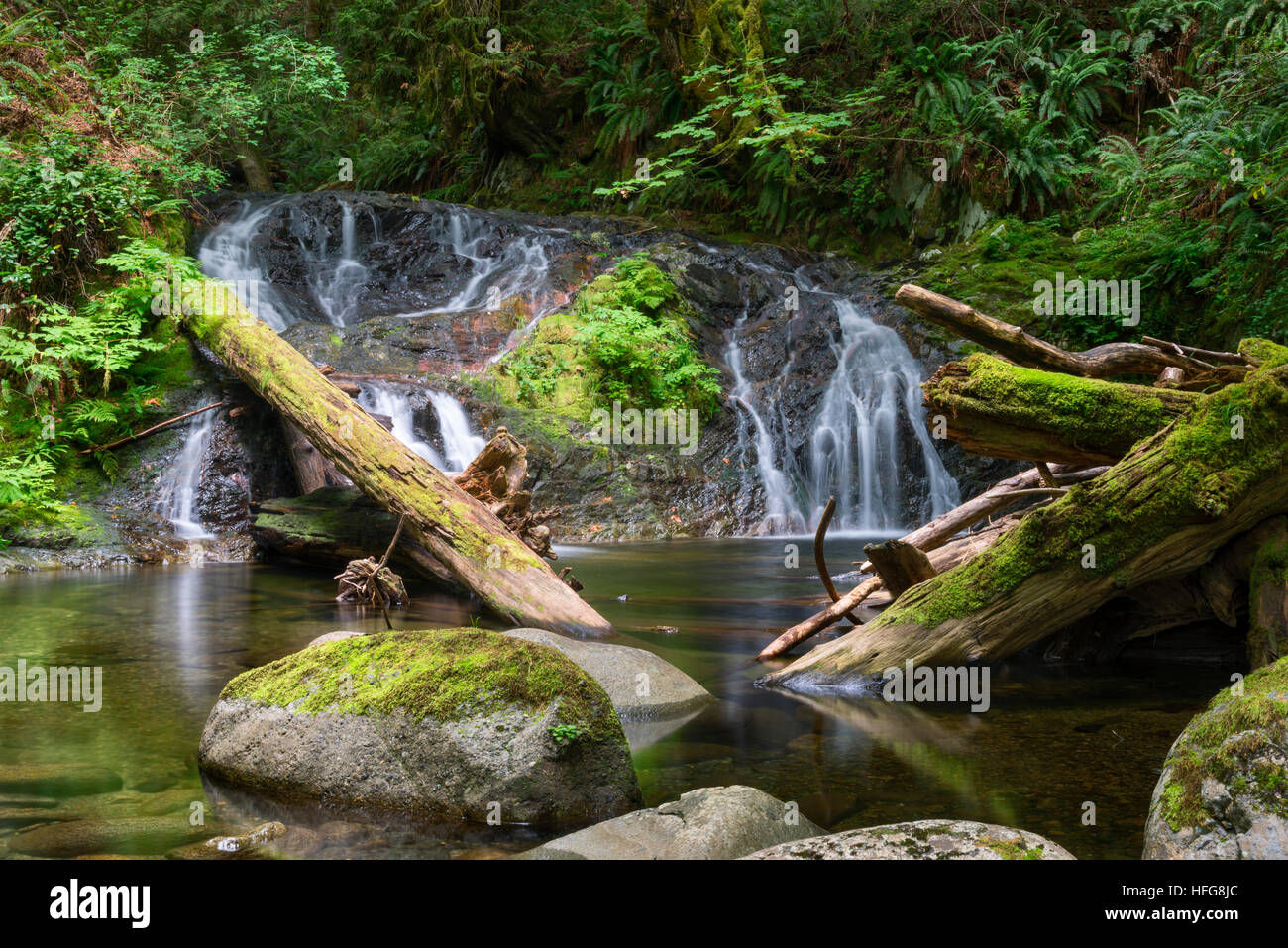 Cascata lungo Holland Creek Trail in Ladysmith BC Foto Stock