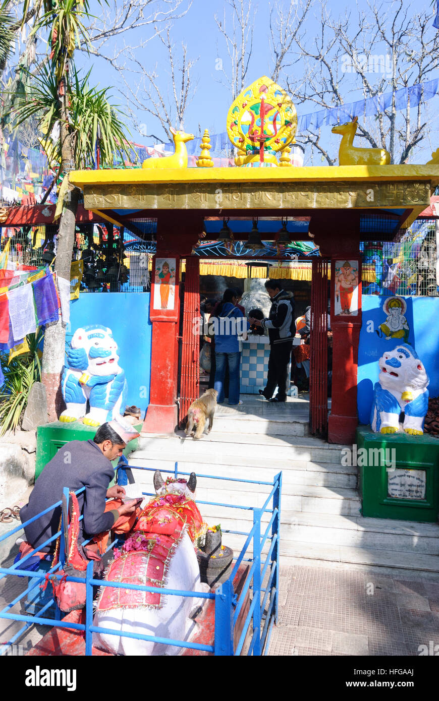 Darjeeling: tempio tibetano sull'Osservatorio hill, West Bengal, Westbengalen, India Foto Stock