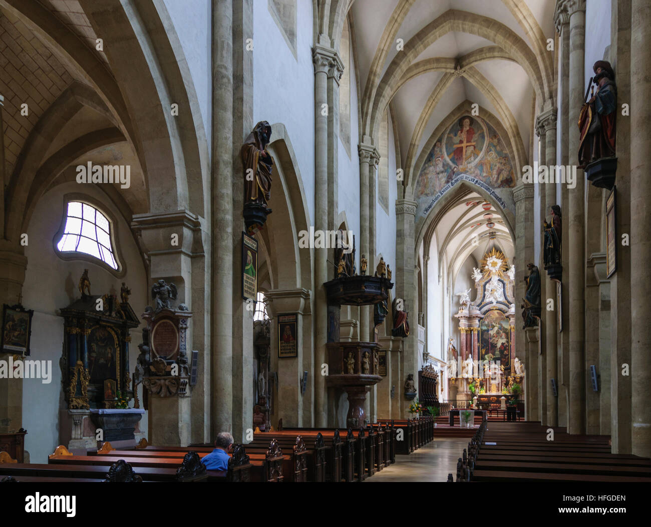 Wiener Neustadt: cattedrale, Wiener Alpen, Alpi Niederösterreich, Austria Inferiore, Austria Foto Stock