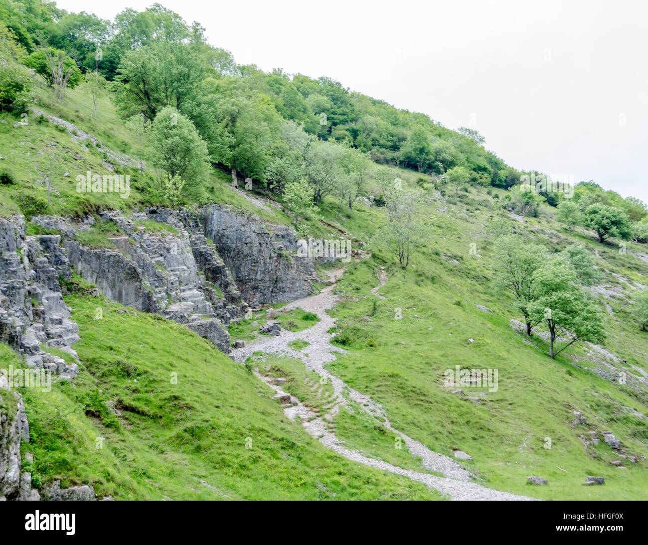 Il Cheddar Gorge, Somerset, Inghilterra Foto Stock