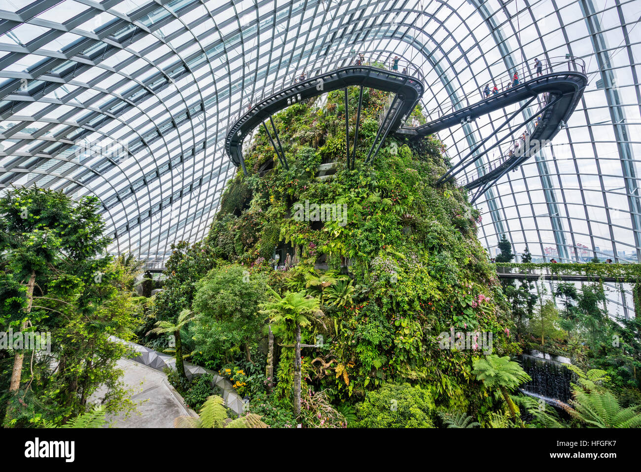 Singapore, giardini dalla baia, vista del Treetop e Cloud cammina alla vegetazione lussureggiante mountain entro il gigante Cloud Forest Green House Foto Stock