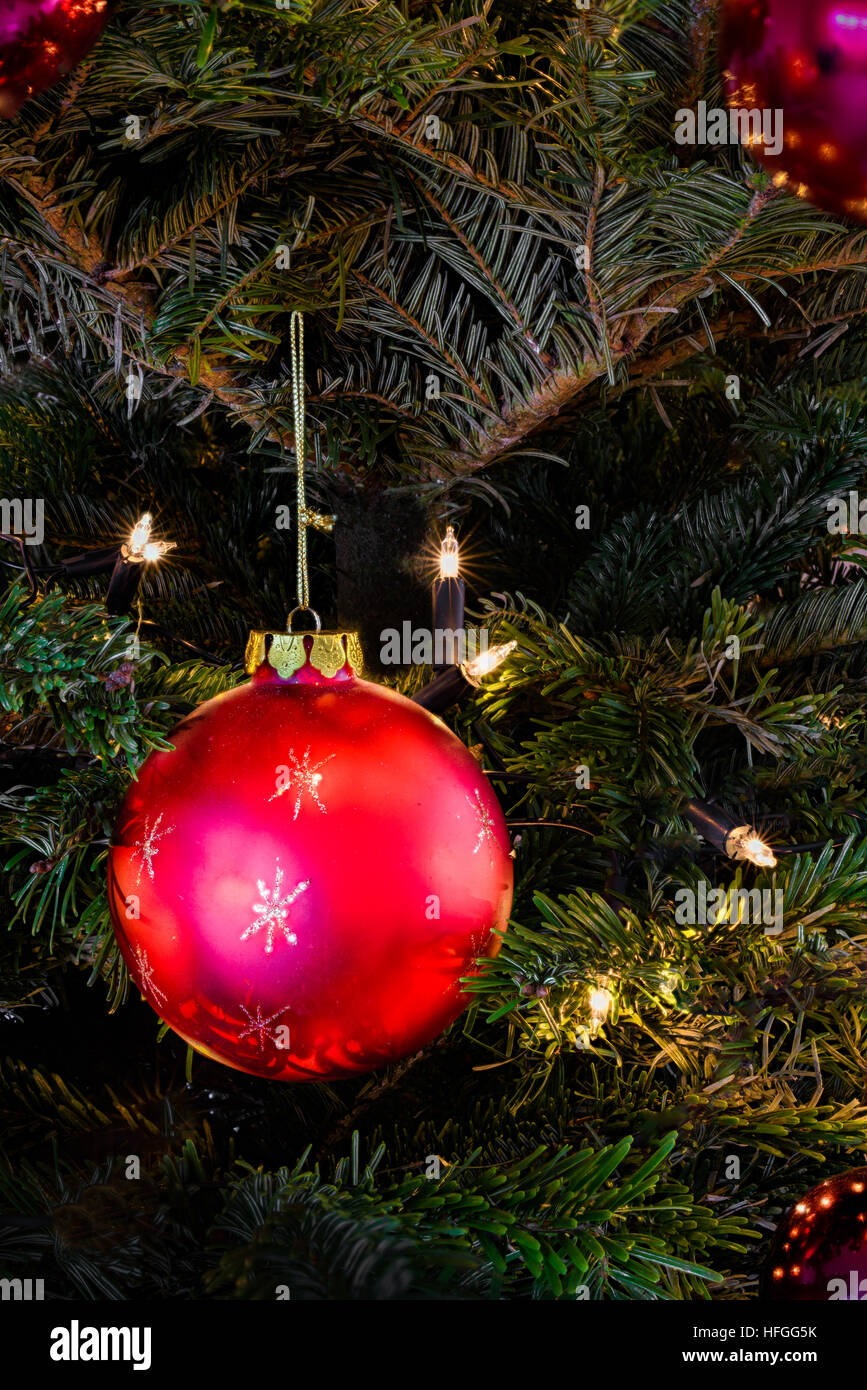 Albero di Natale Foto Stock