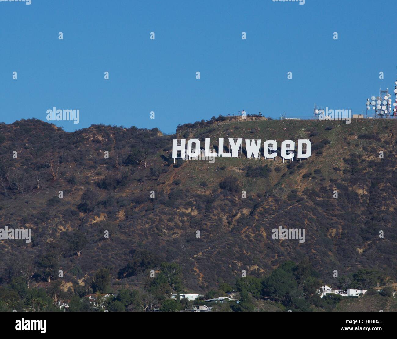 Hollywood, California, USA. 01 gen 2017. Nuovi anni burloni, forse ispirata dal passaggio di legalizzato le leggi sulla marijuana in California, utilizzati sapientemente collocato materiale sull'iconico Hollywood Sign per renderlo leggere "Hollyweed' © Edward Nachtrieb/Alamy Live News Foto Stock