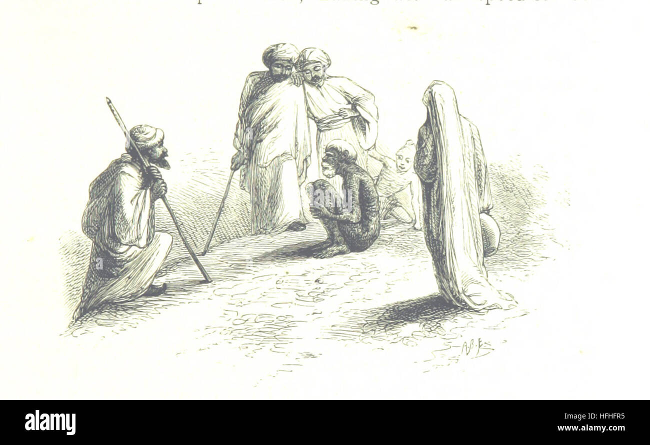 Questa immagine proviene da "mille miglia sul Nilo", che descrive il viaggio di Amelia Edwards lungo il fiume Nilo, mostrando paesaggi, cultura locale e siti archeologici in Egitto. Foto Stock