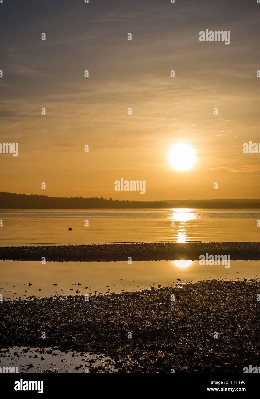 Giallo luce luminosa avvolge tutto come il sole tramonta al di sopra del Puget Sound. Foto Stock