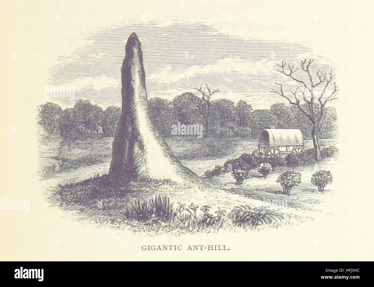 Matabele terreni e il Victoria Falls ... A cura di C. G. Oates ... Seconda edizione. [Con appendici di G. Rolleston, R. B. Sharpe, J. O. Westwood, e R. Rolfe.] immagine presa da pagina 201 di 'Matabele terreni e la Foto Stock