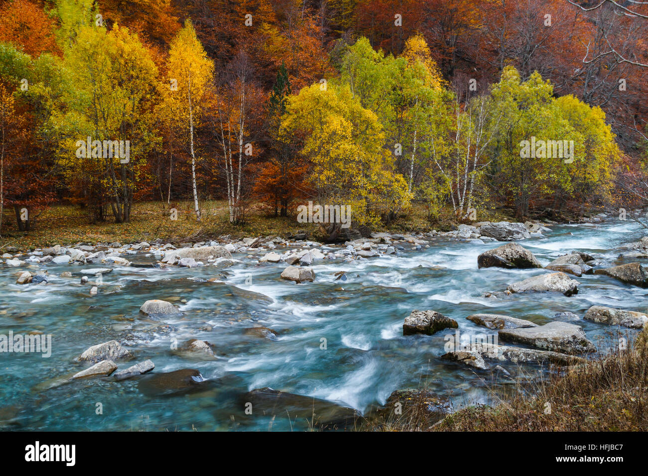 Fiume e bosco di latifoglie in autunno. Foto Stock