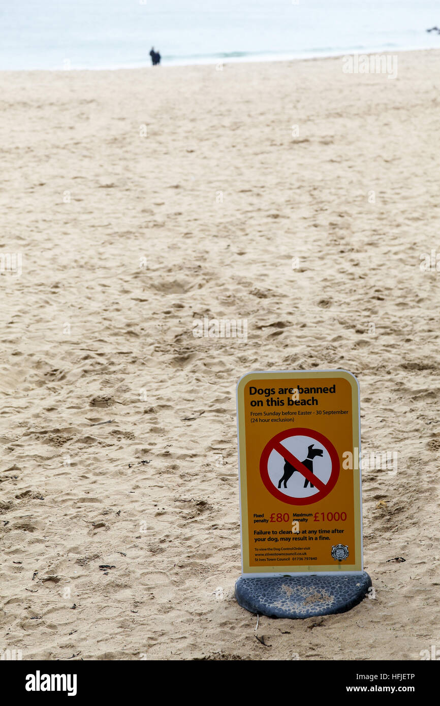 Un cartello che diceva cani proibito o vietato sulla spiaggia di Porthminster a molla a St Ives Cornwall South West England Regno Unito GB Foto Stock