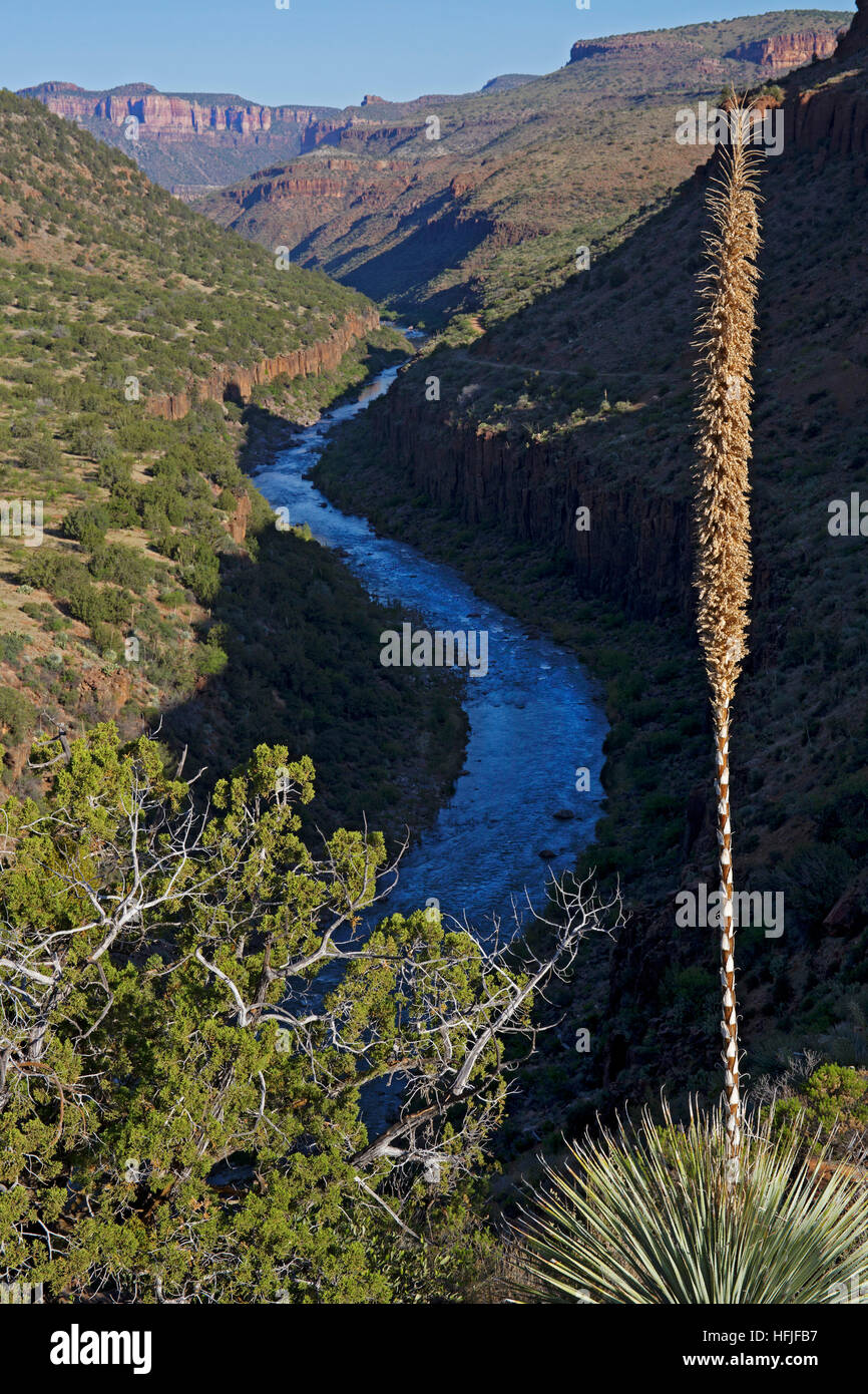 Fiume sale Sotol Foto Stock