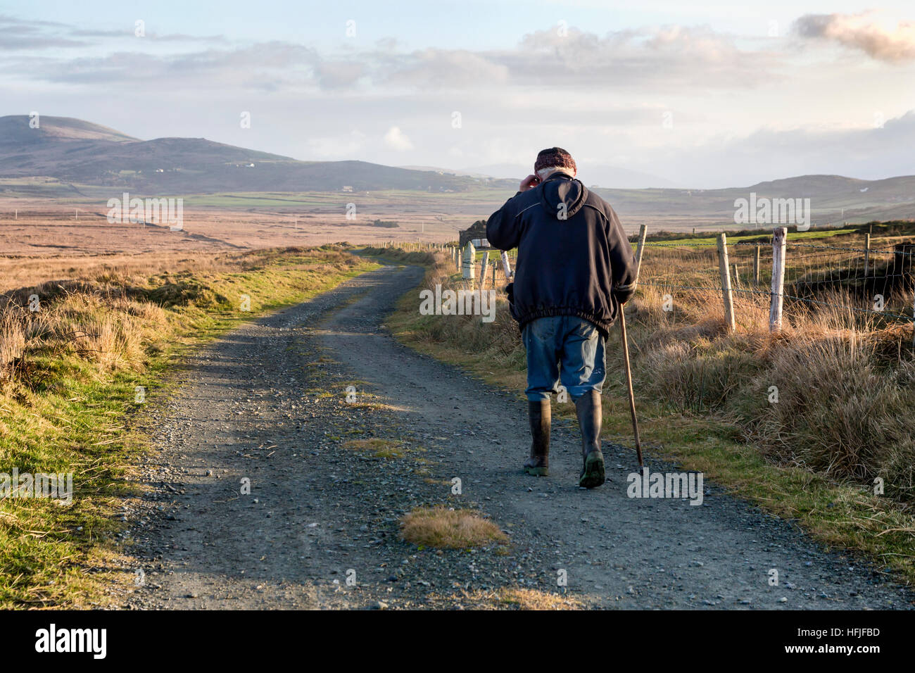 Gli agricoltori irlandesi sul vicolo del paese in attesa per i loro cani da caccia, Valentia Island, nella contea di Kerry, Irlanda Foto Stock