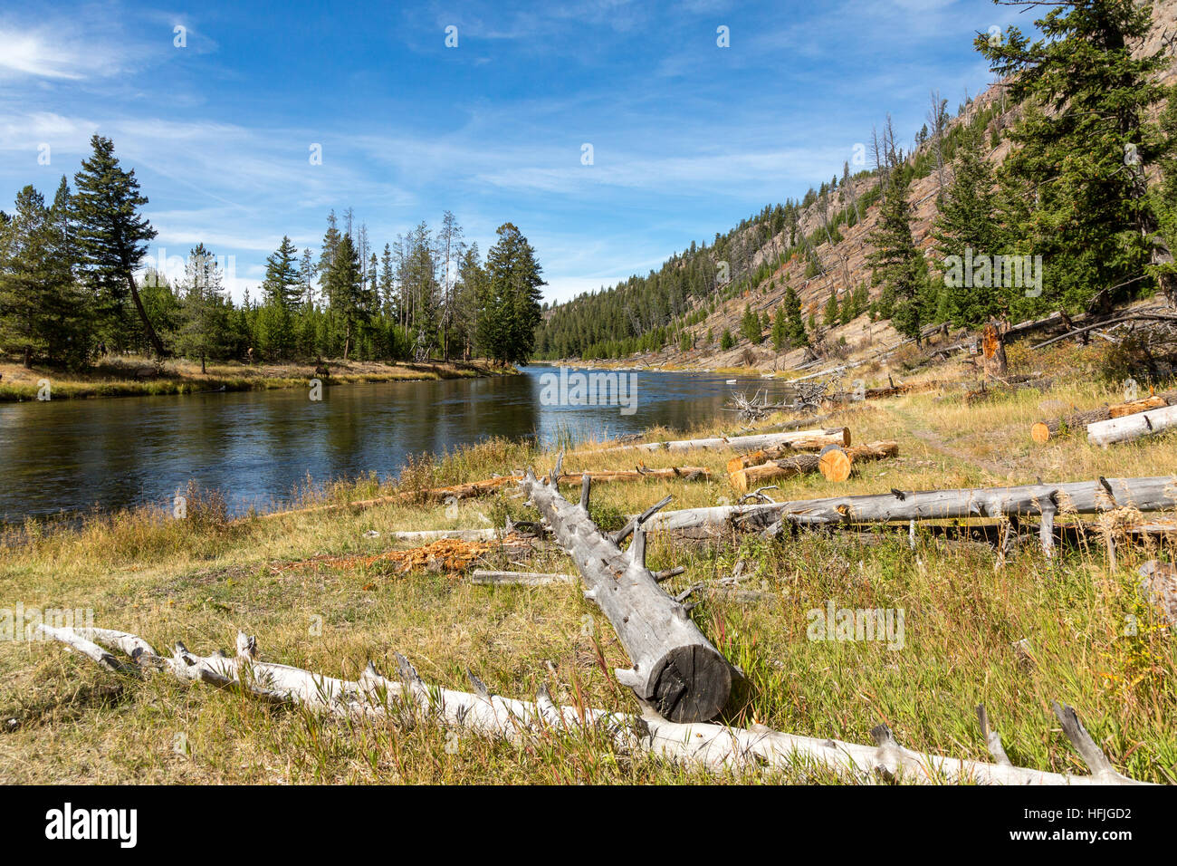 Madison fiume Yellowstone National Park Foto Stock