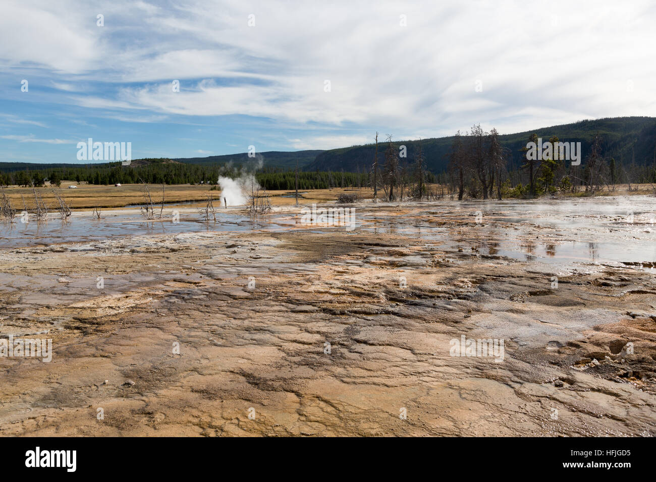 Biscuit Basin Parco nazionale di Yellowstone Foto Stock