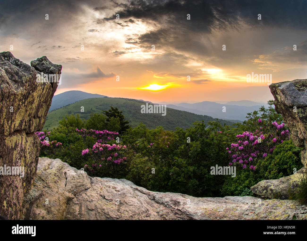 Tramonto attraverso le rocce a Jane Bald durante il mese di giugno fioriscono rododendri Foto Stock