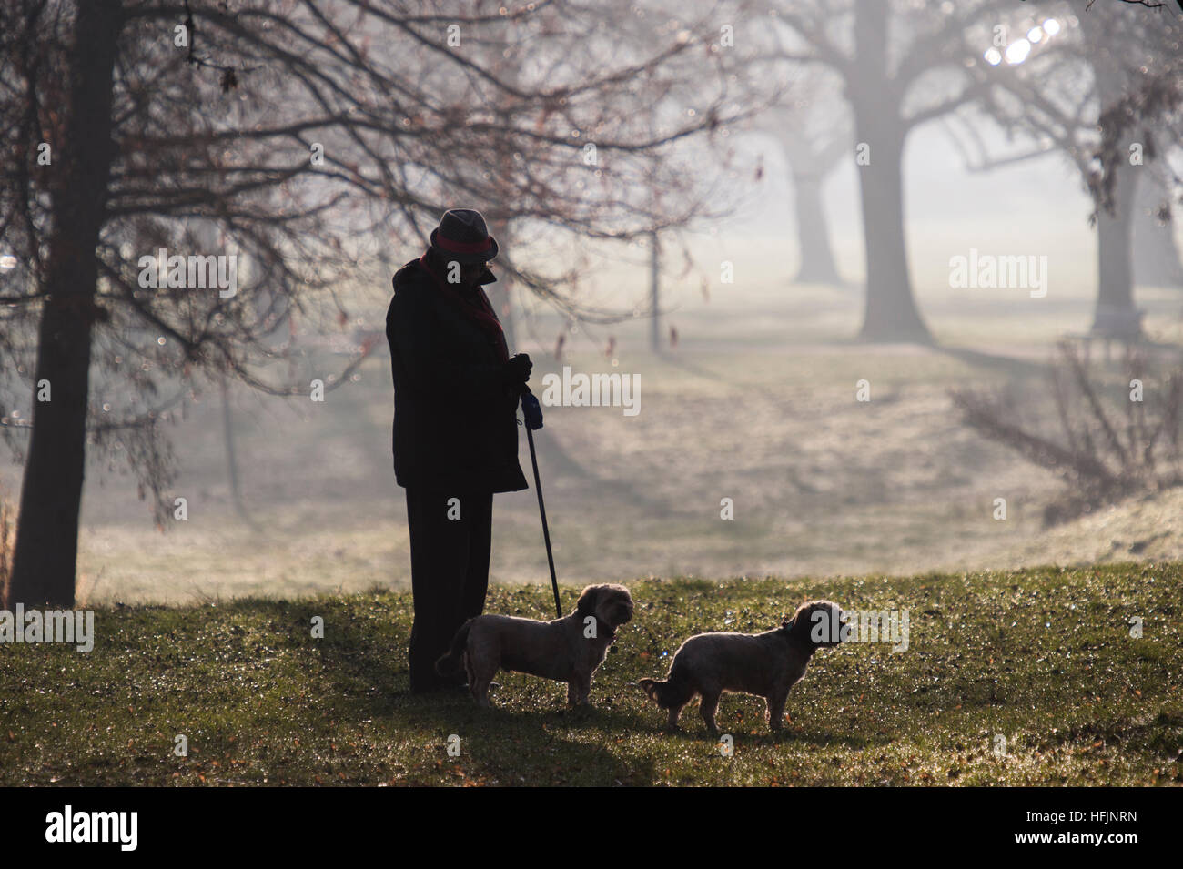 Un uomo cammina i suoi due cani di piccola taglia su un freddo gelido e giorno Foto Stock