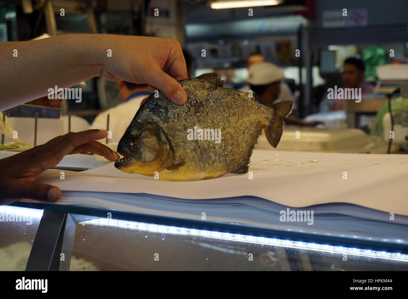 Un Piranha pesce in un pesce monger al mercato comunale in Sao Paulo, Brasile Foto Stock