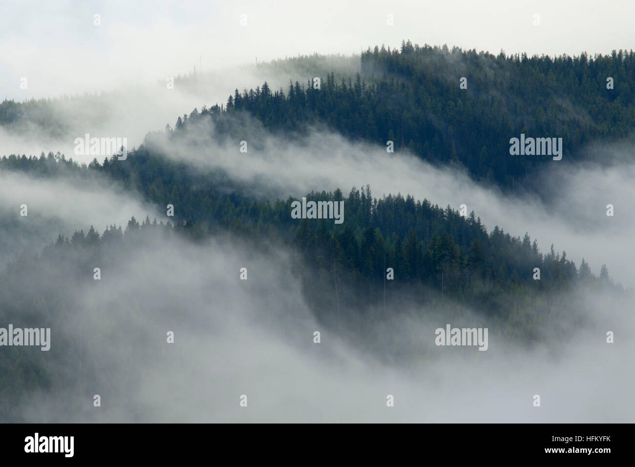 Vista Montagna con la nebbia, Storico Savenac Tree Nursery, Lolo National Forest, Montana Foto Stock