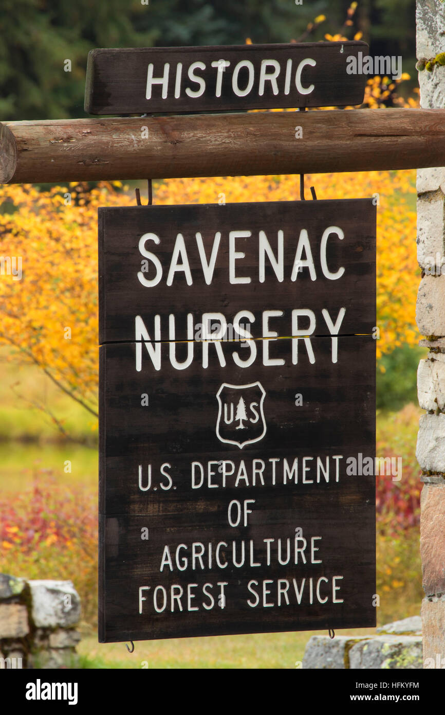 Ingresso segno storico Savenac Tree Nursery, Lolo National Forest, Montana Foto Stock
