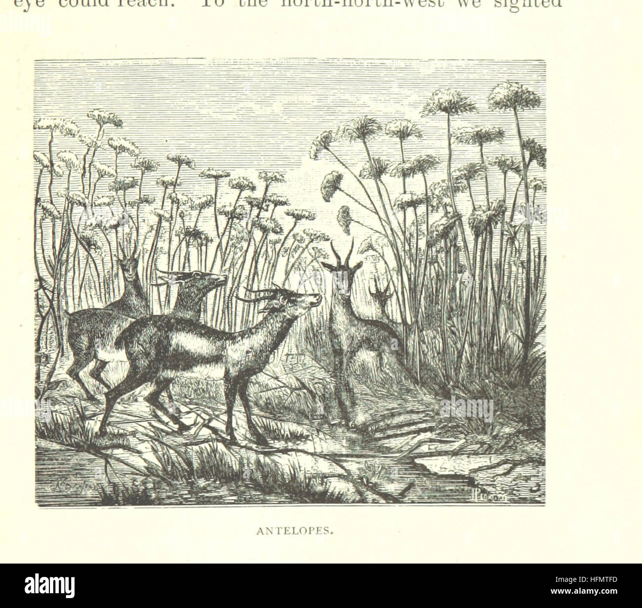 Immagine presa da pagina 397 di 'da Benguella al territorio di Yacca. Descrizione di un viaggio in Africa occidentale e centrale ... Tradotto da Alfred Elwes ... Con mappe e ... illustrazioni' immagine presa da pagina 397 di 'da Benguella al Foto Stock