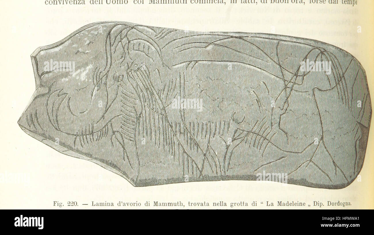 Questa immagine tratta da pagina 400 di "Antropologia generale" presenta una lezione di antropologia, incentrata sull'evoluzione umana e sulle sue basi teoriche, come spiegato attraverso le opere di G. Raverdino e G. B. Vigo. Foto Stock
