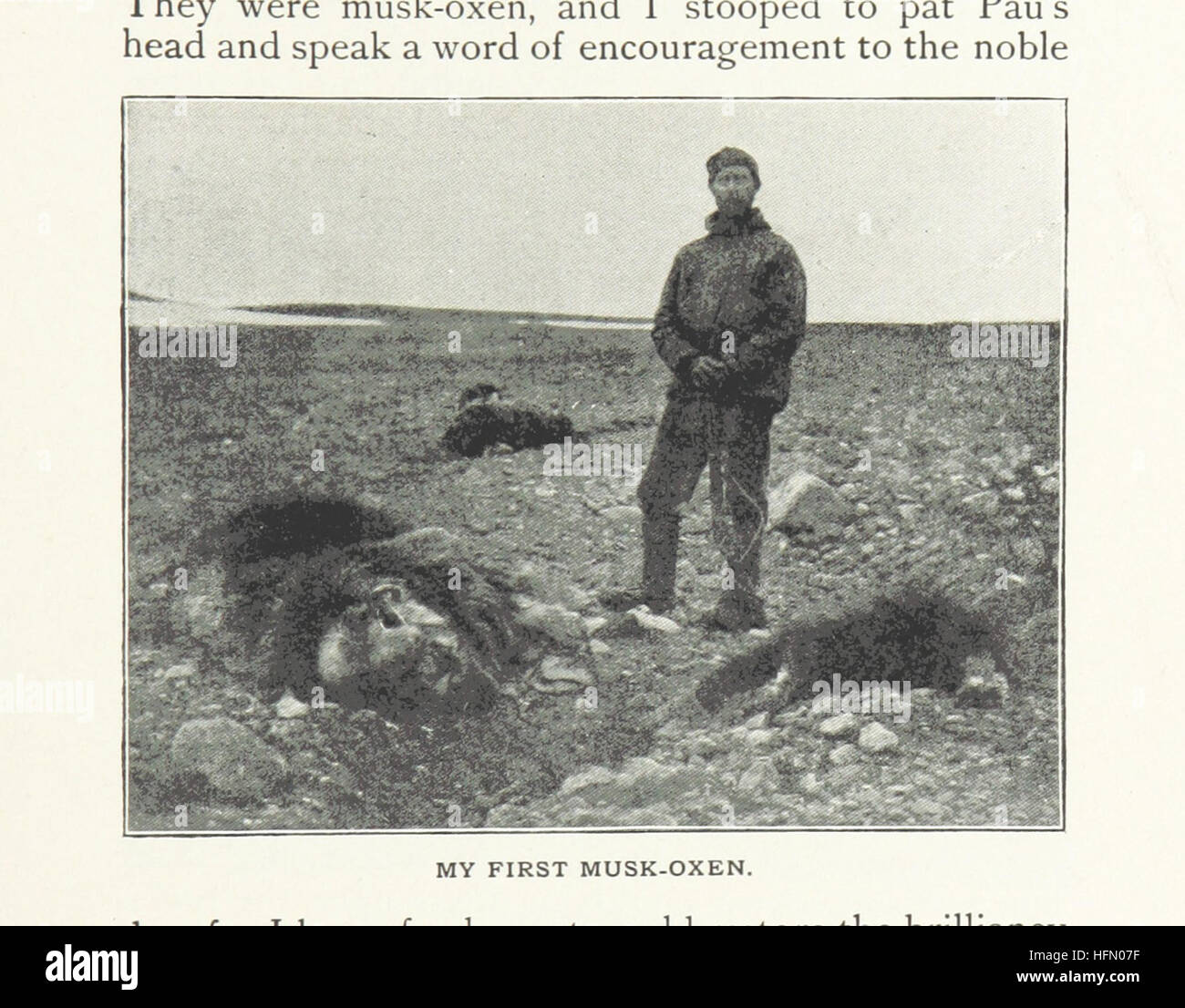 Immagine presa da pagina 417 di 'verso nord oltre il grande "Ice": un racconto della vita e del lavoro lungo le rive e all'interno di ghiaccio-cap del nord della Groenlandia negli anni 1886 e 1891-1897 ... Con mappe, schemi e circa otto centinaia di illustrazioni' immagine presa da pagina 417 di 'verso nord oltre il "grande Foto Stock