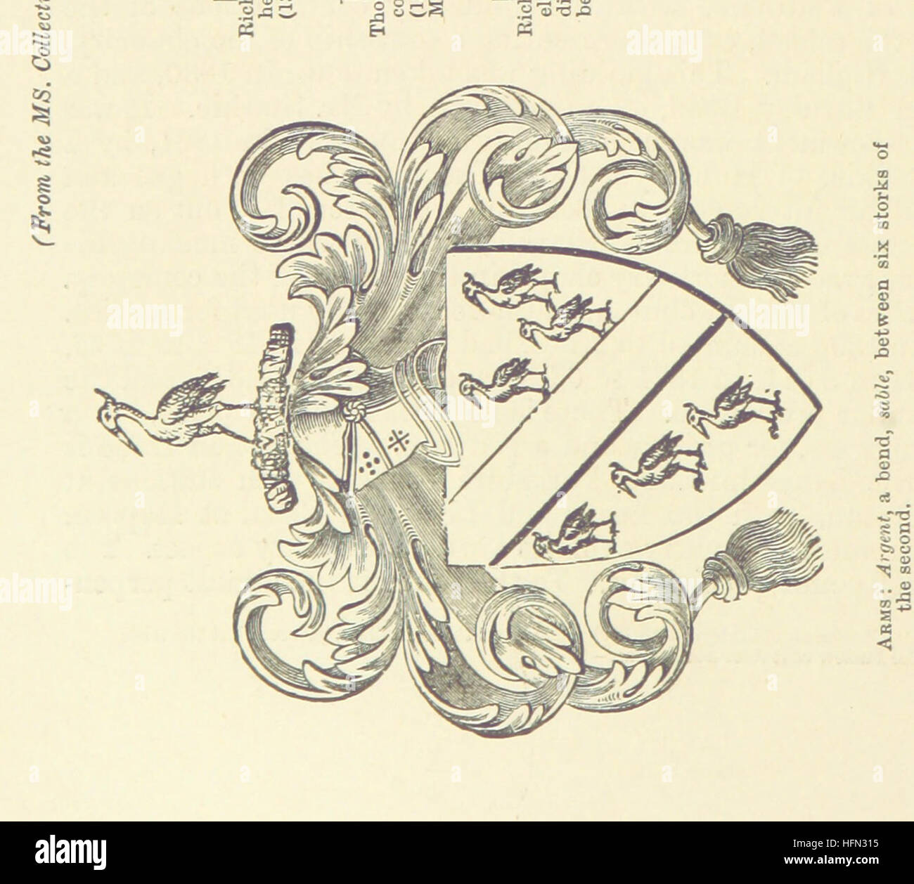 Una storia dettagliata della contea palatina e del ducato di Lancaster, compresi i resoconti biografici di W. R. Whatton e Edward Baines. Esso copre eventi, cifre e settori significativi, tra cui l'industria del cotone. Foto Stock