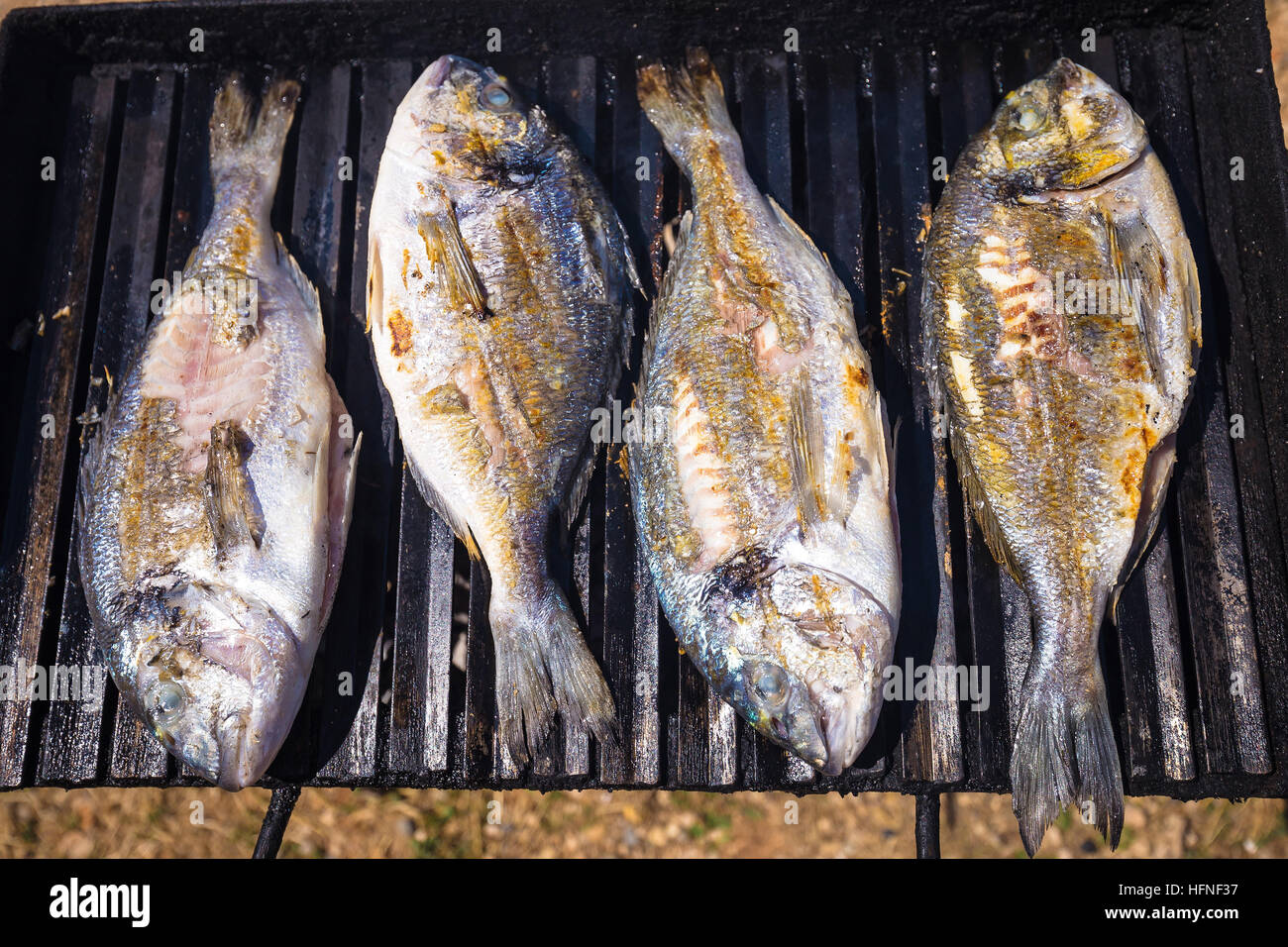 Orate Di Mare Freschi Di Pesce Alla Griglia Visualizza Foto