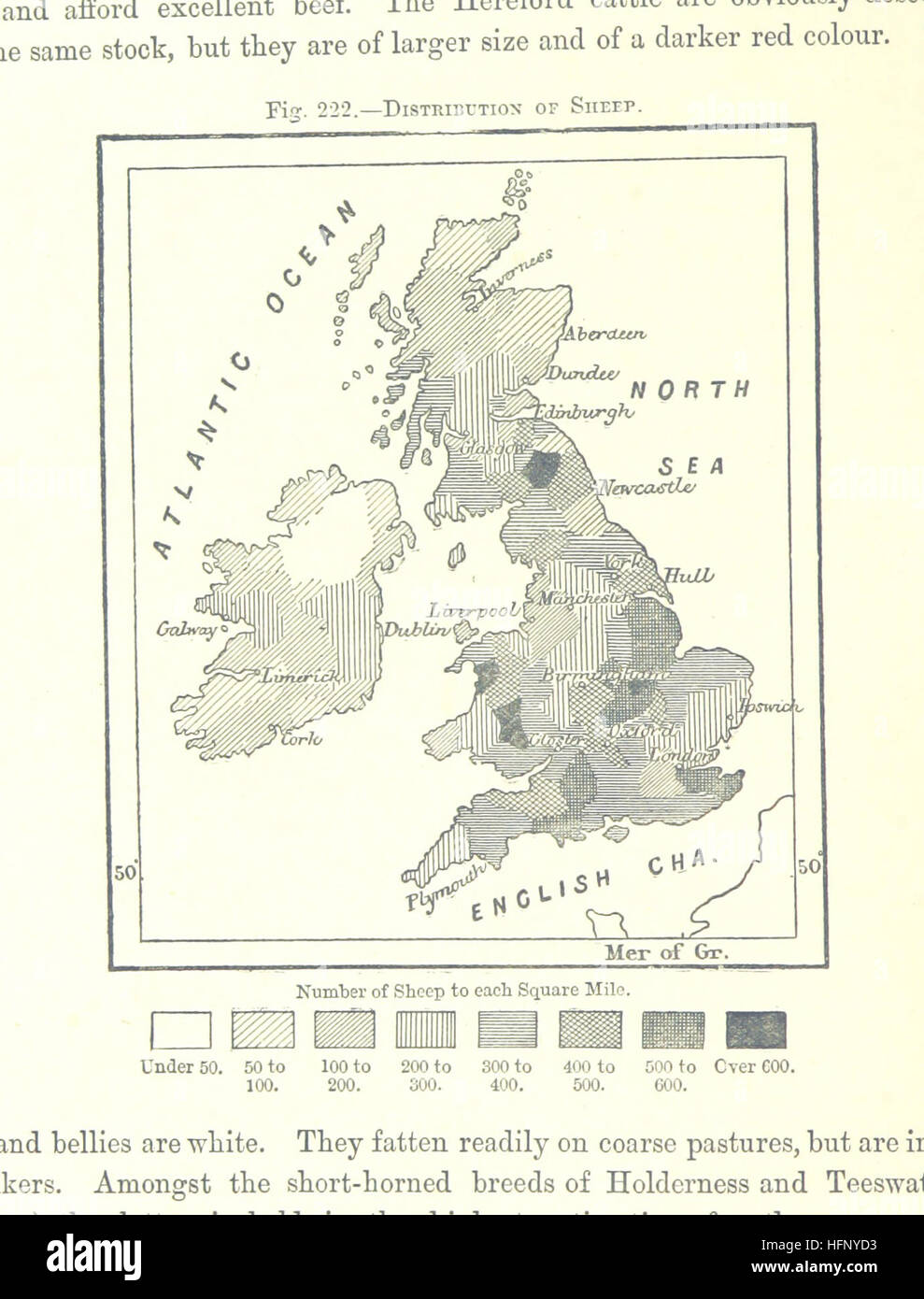 Immagine presa da pagina 628 di "Le Isole Britanniche ... [Tradotto da "Nouvelle Géographie Universelle."] edito da E. G. Ravenstein ... Illustrato, etc' immagine presa da pagina 628 di "Le Isole Britanniche Foto Stock