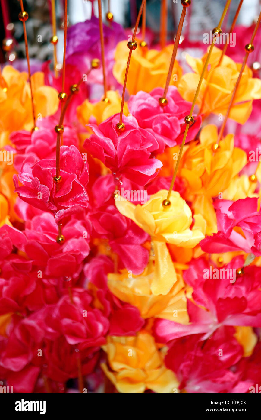Tripudio di colori Foto Stock