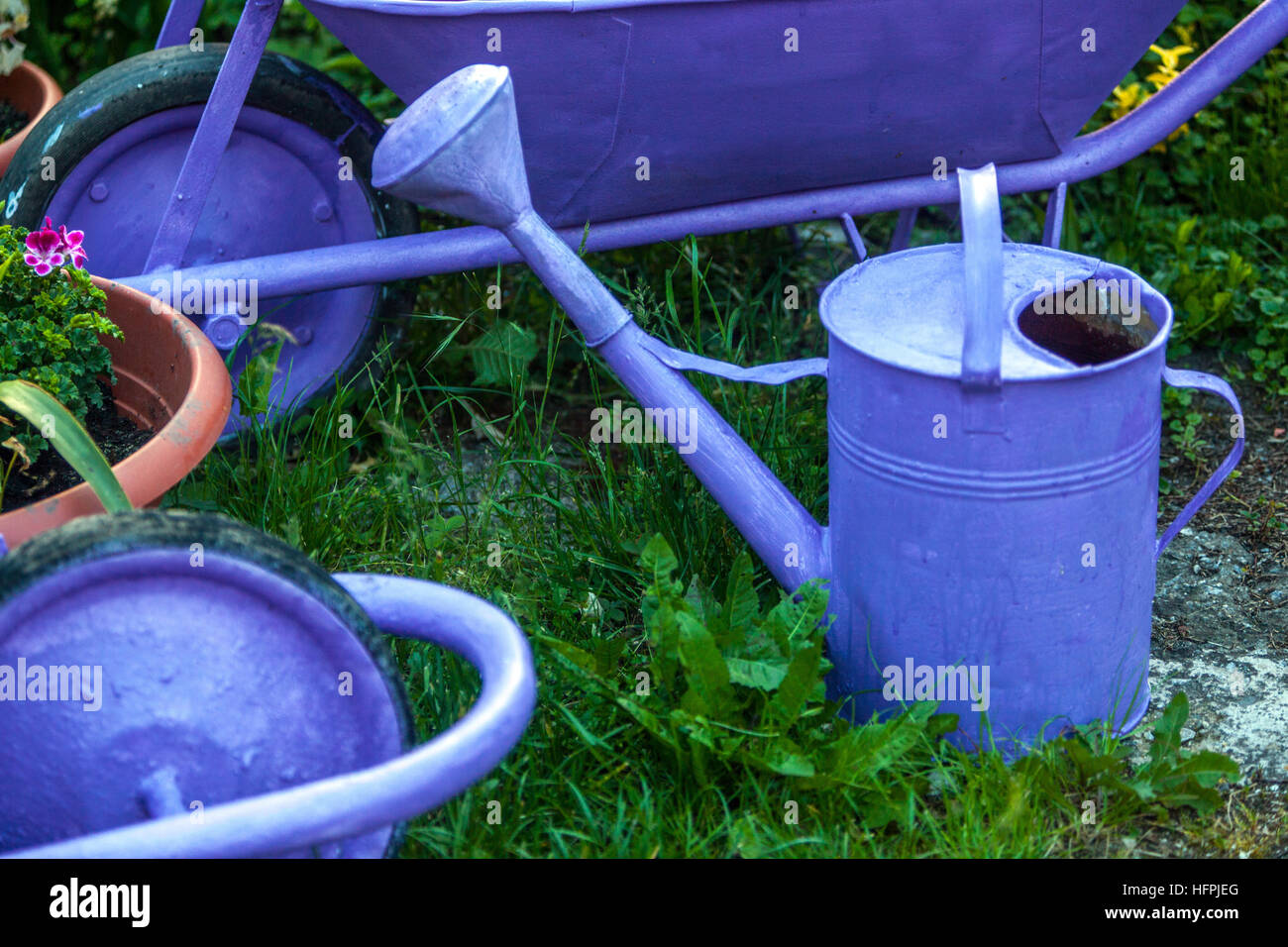 Dipinto di blu articoli usati nel giardino, l'innaffiamento può e la carriola Foto Stock