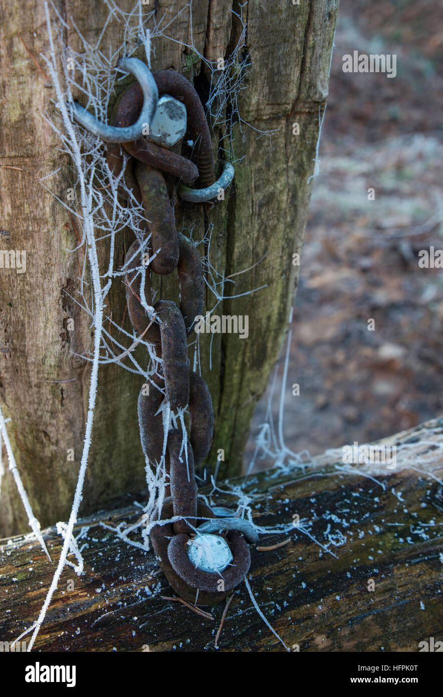 Catena in inverno parte della foresta di panca in legno con cristalli di ghiaccio ancora vita Foto Stock