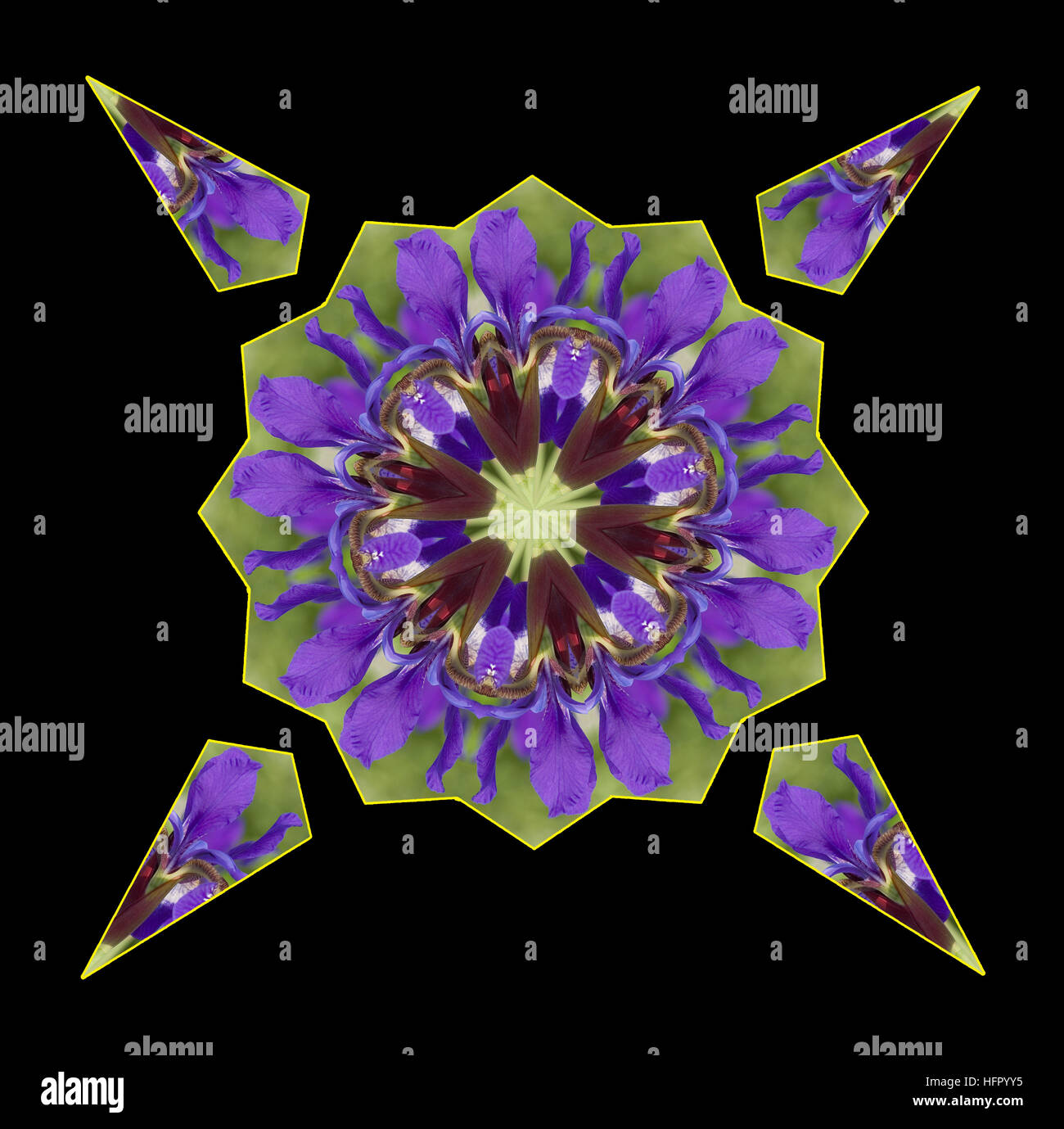 Caleidoscopio fatto da un viola Iris petalo Foto Stock