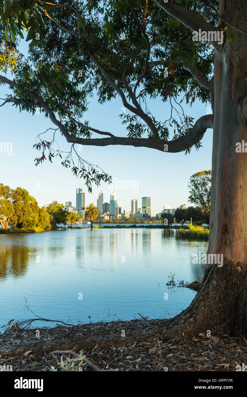 Vista su St James Mitchell Park e il fiume Swan per lo skyline della città all'alba, Perth, Australia occidentale, Australia Foto Stock