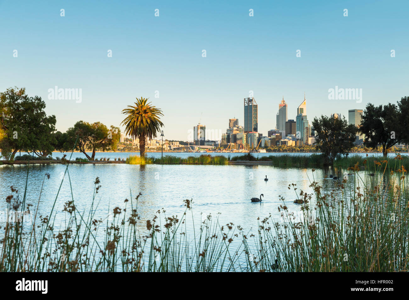 Vista su St James Mitchell Park e il fiume Swan per lo skyline della città all'alba, Perth, Australia occidentale, Australia Foto Stock