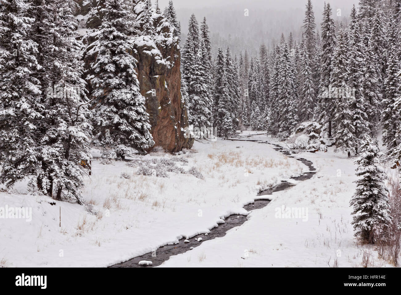 Una leggera nevicata fresca sulla natura selvaggia incontaminata del Valles Caldera National Preserve vicino a Los Alamos, Nuovo Messico. Foto Stock