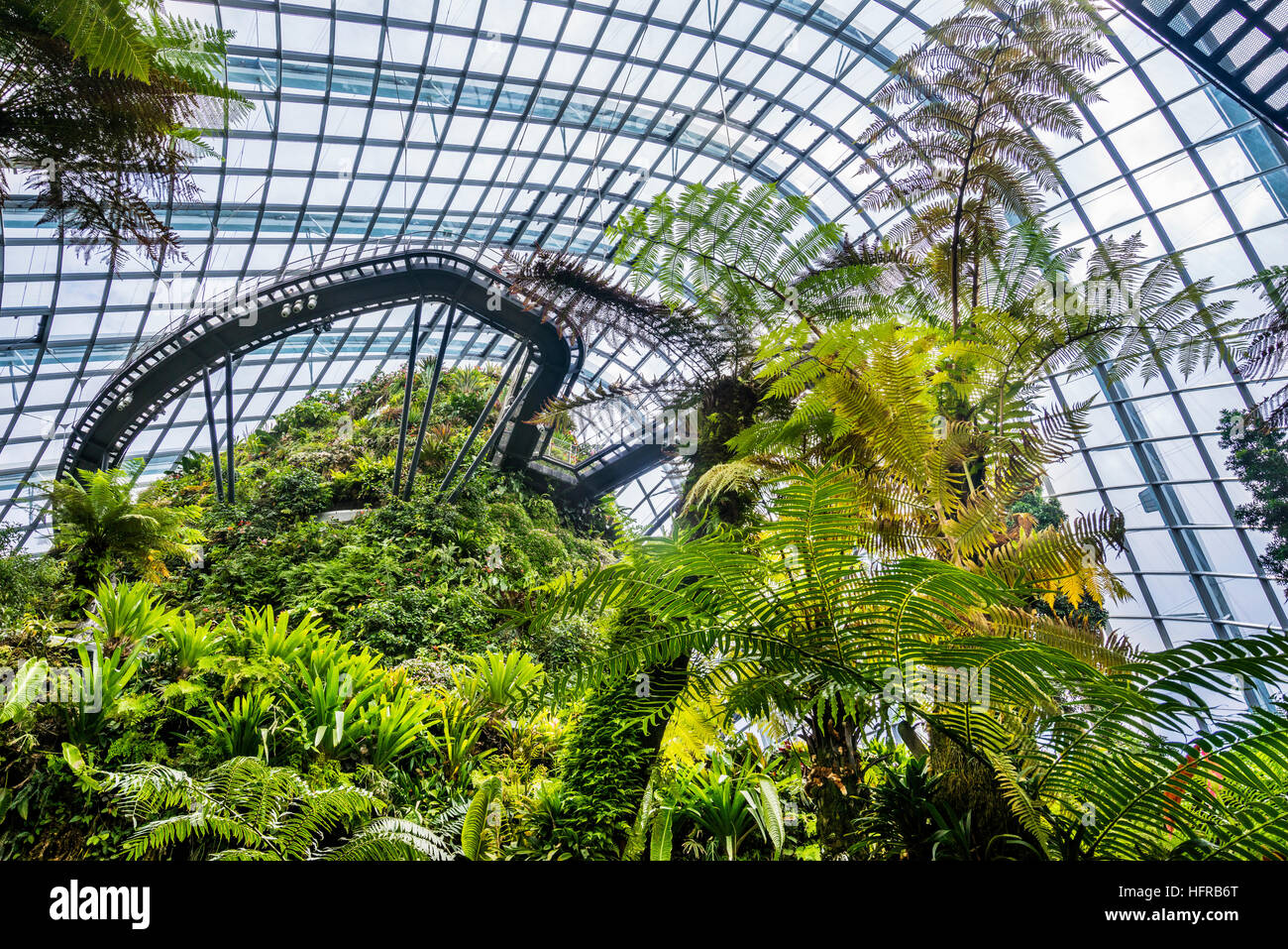 Singapore, giardini dalla baia, vista del Treetop e Cloud cammina alla vegetazione lussureggiante mountain entro il gigante Cloud Forest Green House Foto Stock