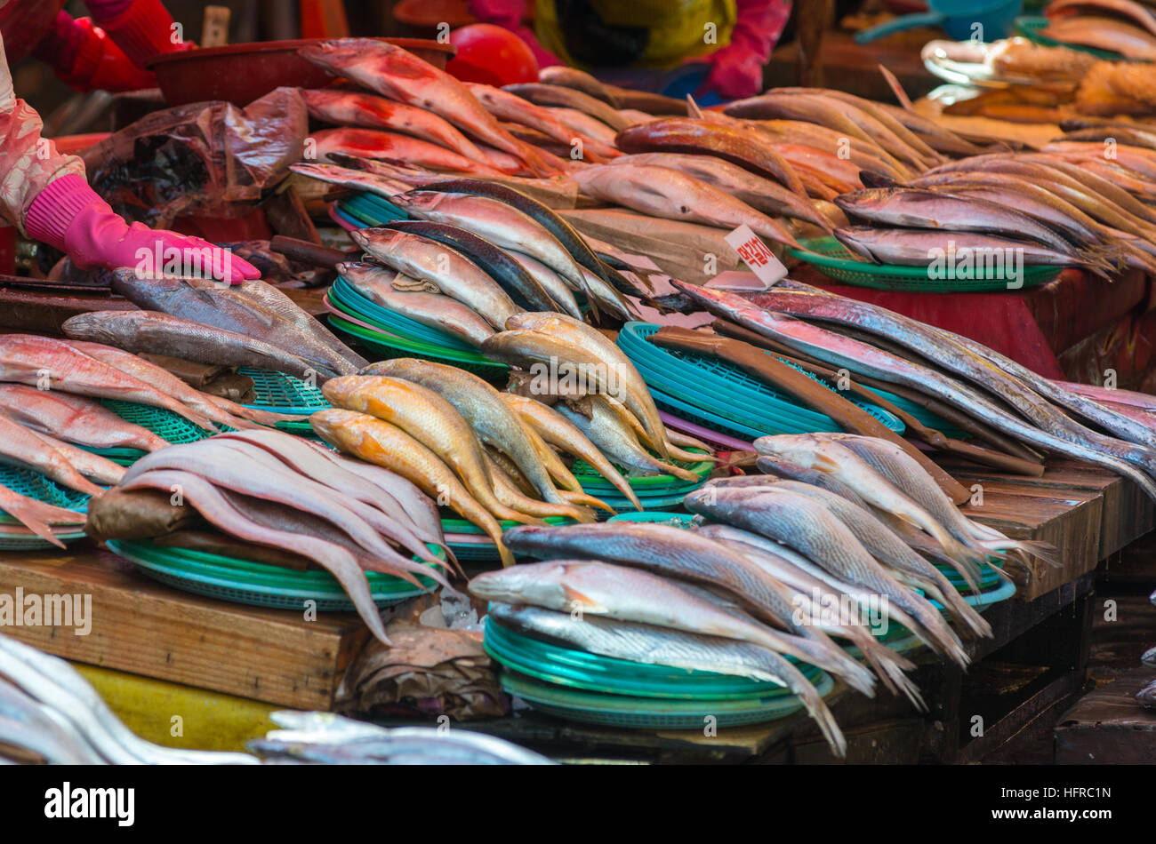 Il pesce in vendita presso Jagalchi mercato del pesce, Busan, Corea del Sud. Foto Stock