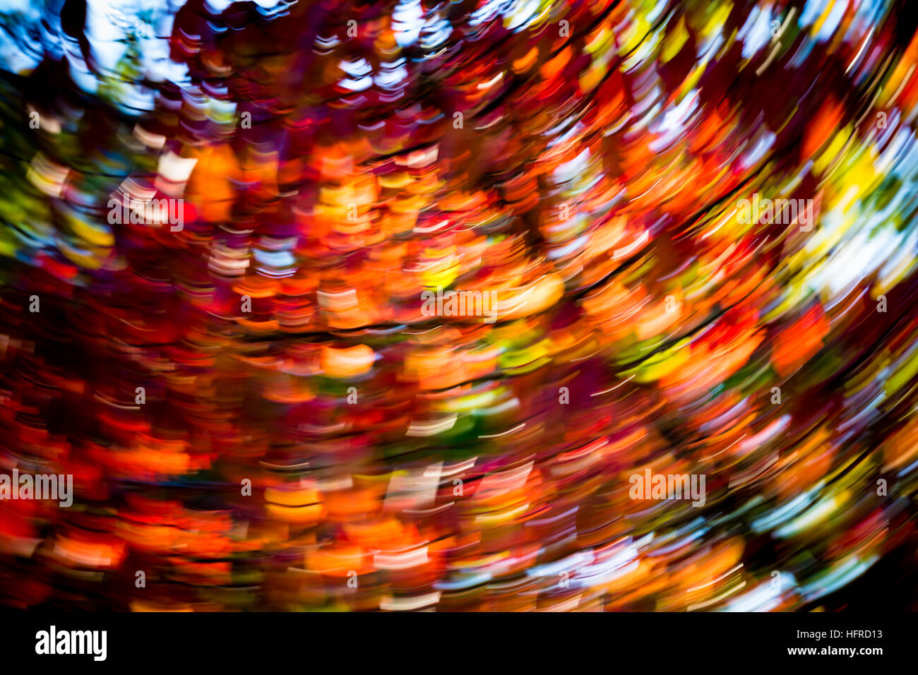 Colorato Foglie di autunno, distorta per effetto di pulizia, sfondo Foto Stock