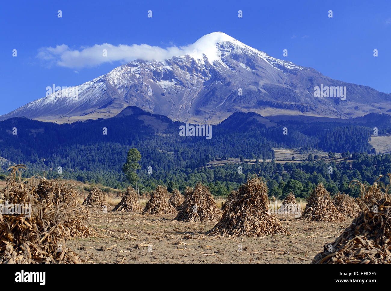 Pico de Orizaba vulcano, o Citlaltepetl, è la montagna più alta in Messico Foto Stock