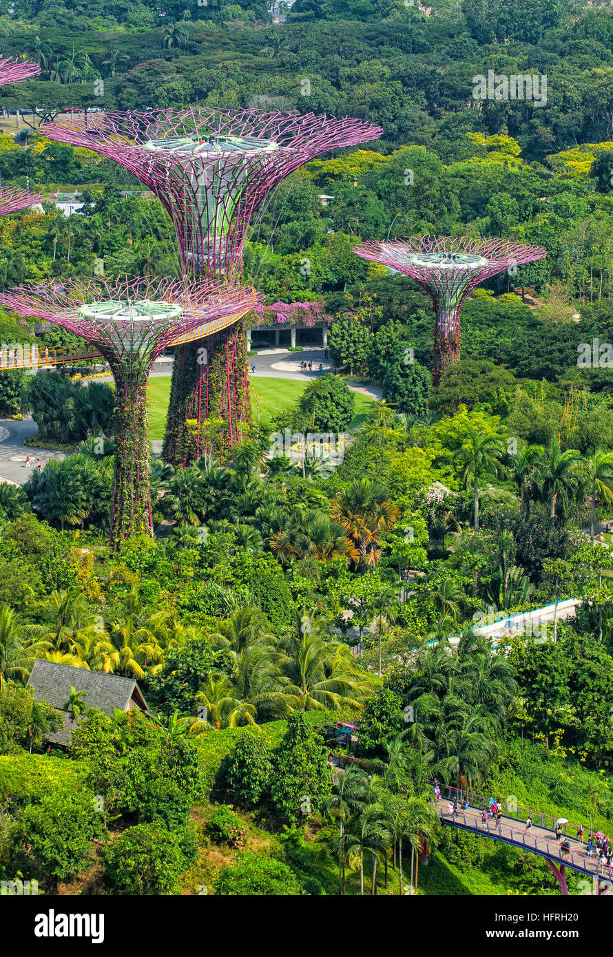 Giardini dalla baia, Singapore Foto Stock