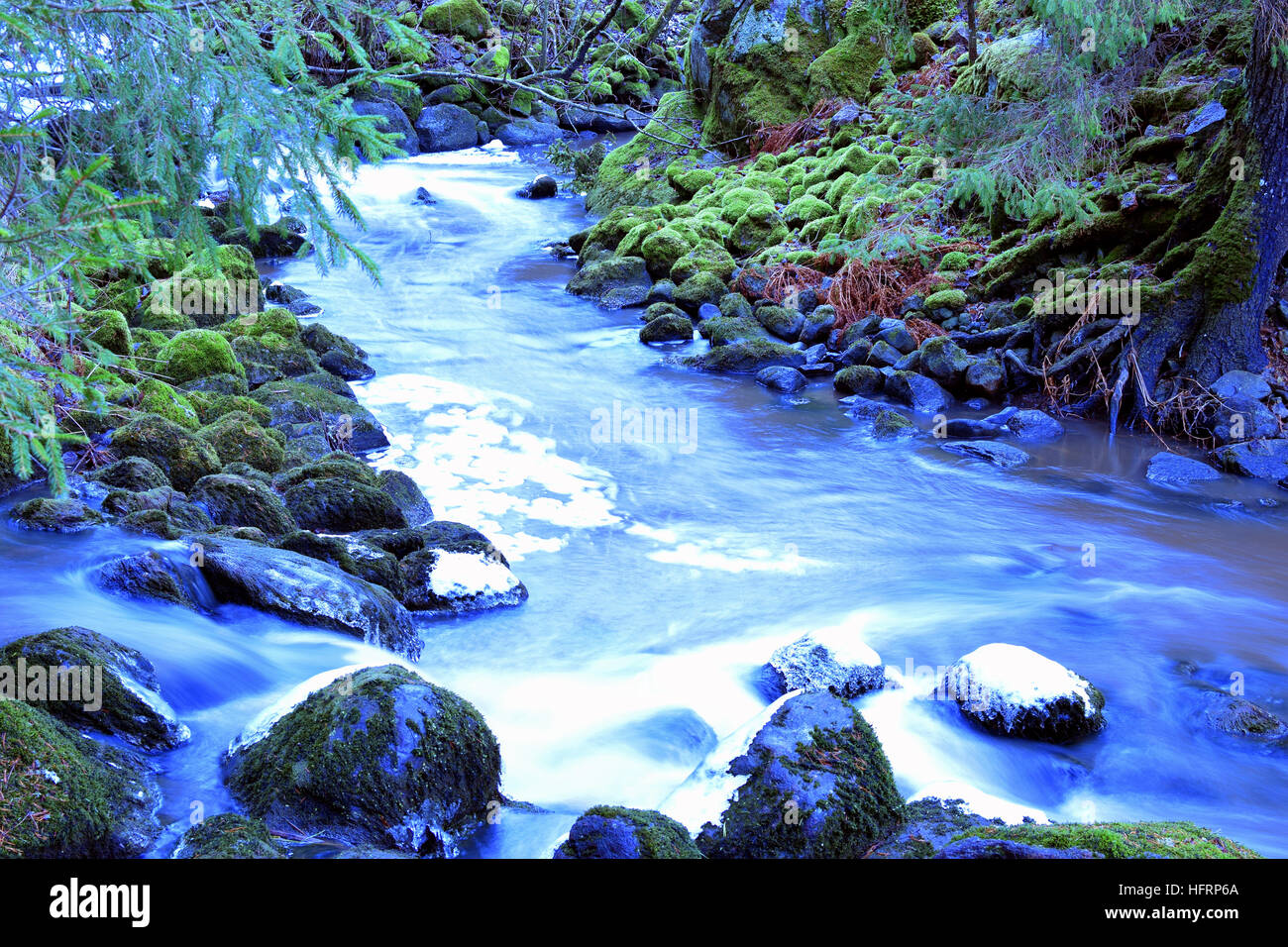 Piccolo mistico rapids, pietre ricoperto con moss nella foresta. Lunga esposizione. Foto Stock