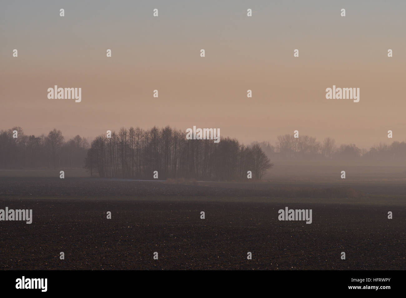 I campi e gli alberi del tramonto in inverno la nebbia Bassa Slesia Polonia Foto Stock I campi e gli alberi del tramonto in inverno la nebbia Bassa Slesia Polonia Foto Stock