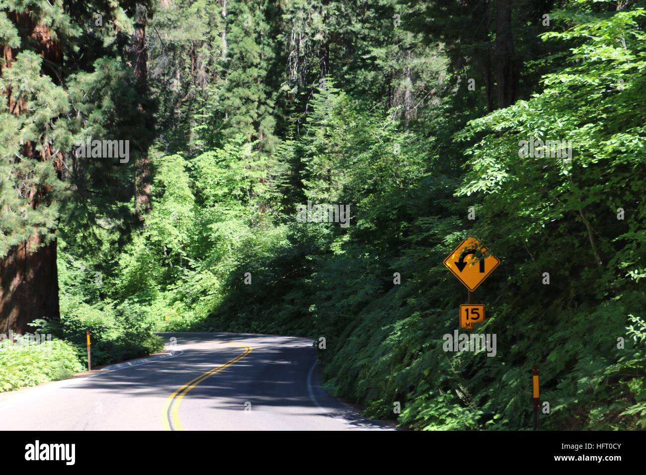 Strada tortuosa e firmare in foresta Foto Stock