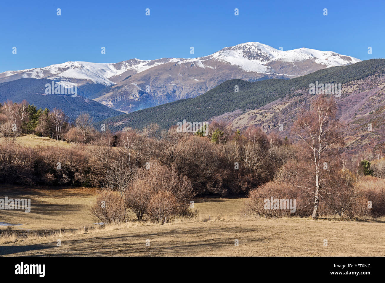 Il picco di Puigmal visto da Pardines, Pirenei catalani Foto Stock