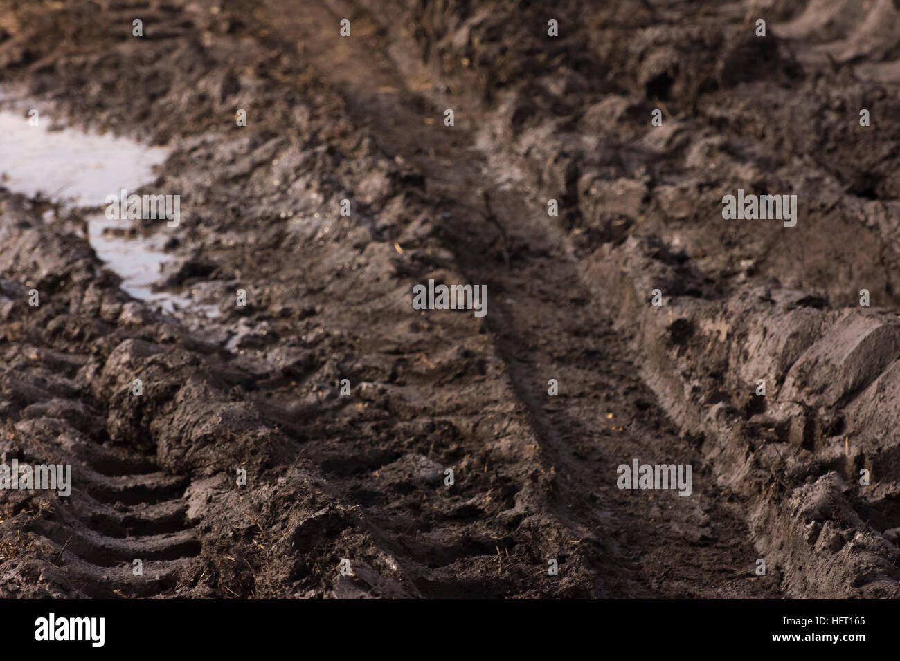 Le vie di un trattore in spessore di fango umido Foto Stock