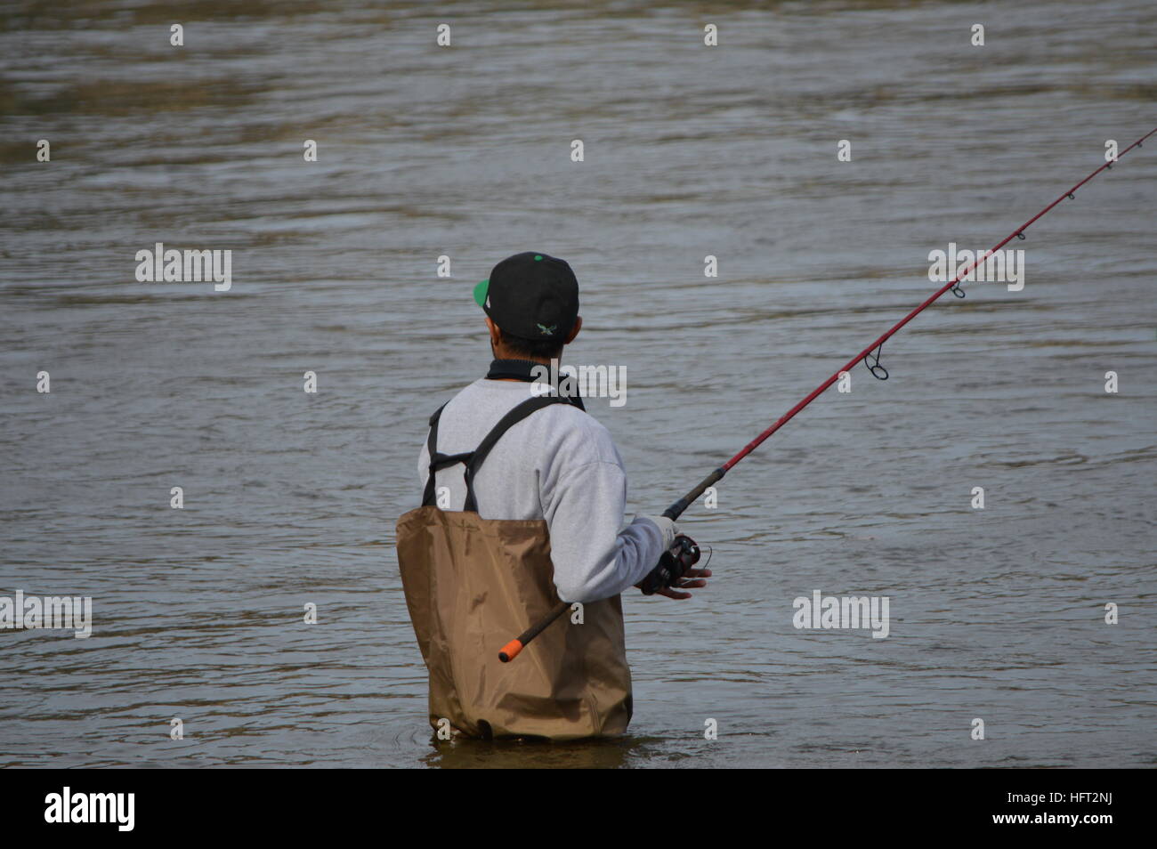 Pescatore con barra di colata e aspo in waders alla base di Conowingo diga sul fiume Susquehanna in Harford County Maryland negli Stati Uniti. Foto Stock