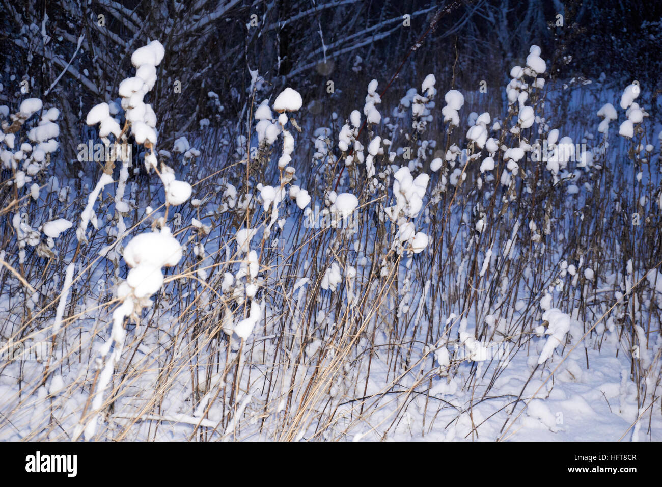 L'Inverno è qui! La neve e i fiocchi di neve è ovunque Foto Stock