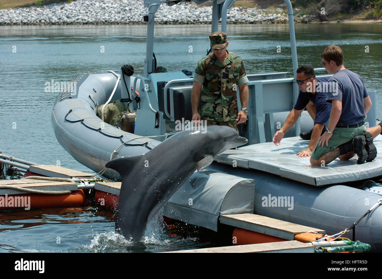 070613-N-7676W-331 Panama City, Fla. (13 giugno 2007) - Aviazione meccanico strutturale di seconda classe Shaun McDonald, centro, assegnato alla Naval Special Team di gioco uno (NSCT) 1, porta ÒTen,Ó un mammifero marino sistema (MMS) Dolphin, a bordo di uno scafo rigido barca gonfiabile (RHIB) durante una dimostrazione come parte del veicolo autonomo sottomarino (AUV) Fest 2007. Sponsorizzato dall'Ufficio del Naval Research (ONR), AUV Fest è il più grande in acqua di dimostrazione Unmanned Underwater, di superficie, di aria e di terra i veicoli mai condotta. Stati Uniti Foto di Marina dal sig. John F. Williams (rilasciato) Navy US 070613-N-7676W-331 Avia Foto Stock